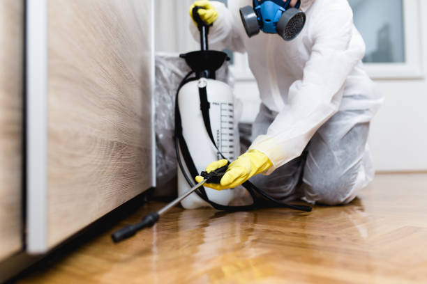 Best Pest Control Treatment  in Godfrey, IL