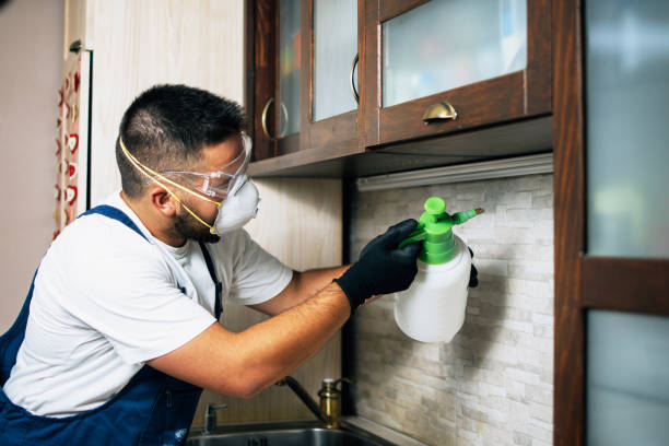 Best Cockroach Control Services  in Godfrey, IL