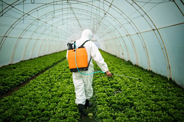 Best Local Pest Control Services  in Godfrey, IL