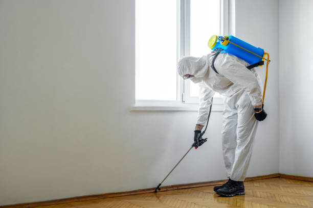 Best Best Pest Control Companies  in Godfrey, IL
