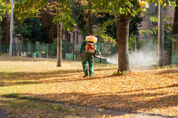 Best Pest Prevention Services  in Godfrey, IL
