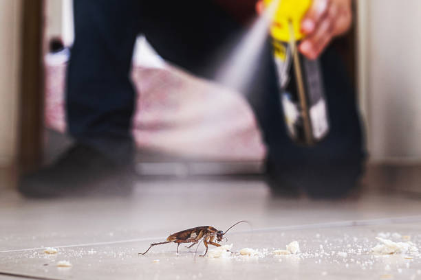 Best Commercial Pest Control Services  in Godfrey, IL