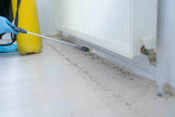 Best Wildlife Control Services  in Godfrey, IL