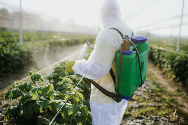 Best Residential Pest Control  in Godfrey, IL